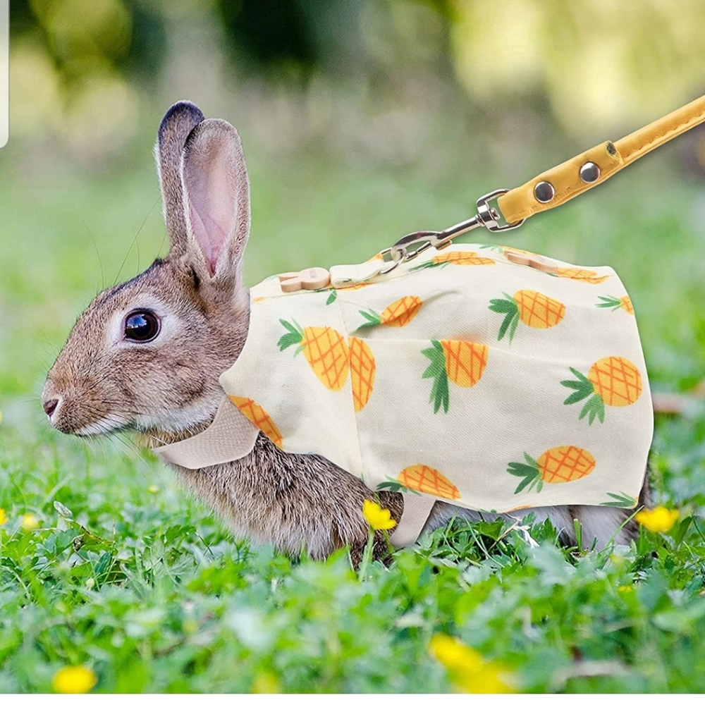 Bunny Rabbit Pineapple Dress - Picture 2 of 5